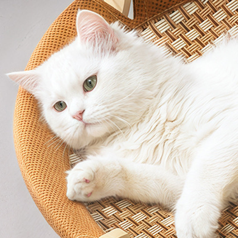Contemporary Boho Round Plastic Rattan Mat Plywood Fabric Medium Density Fiberboard Cat Bed For Bedroom
