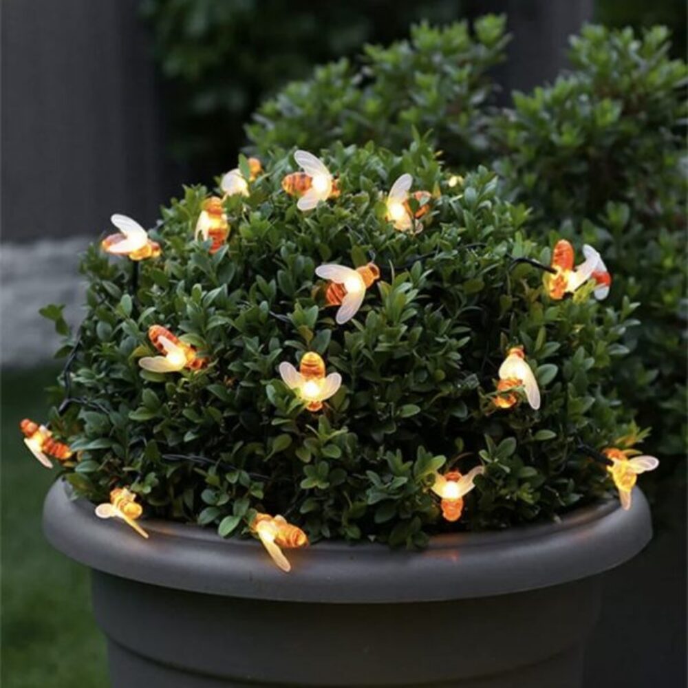 Abejitas Solares